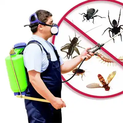 pest control Pineville